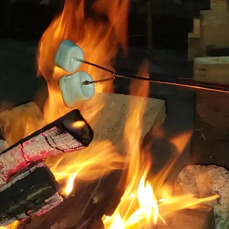 Eclipse Corbu (Constanta)